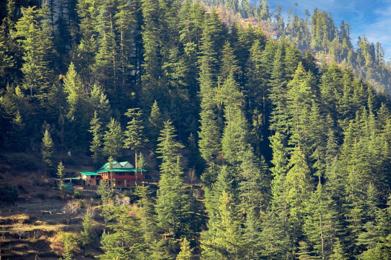 Отель Freebird Nest Jibhi Экстерьер фото