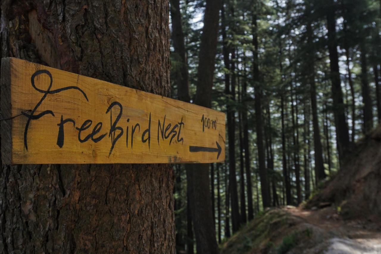 Отель Freebird Nest Jibhi Экстерьер фото